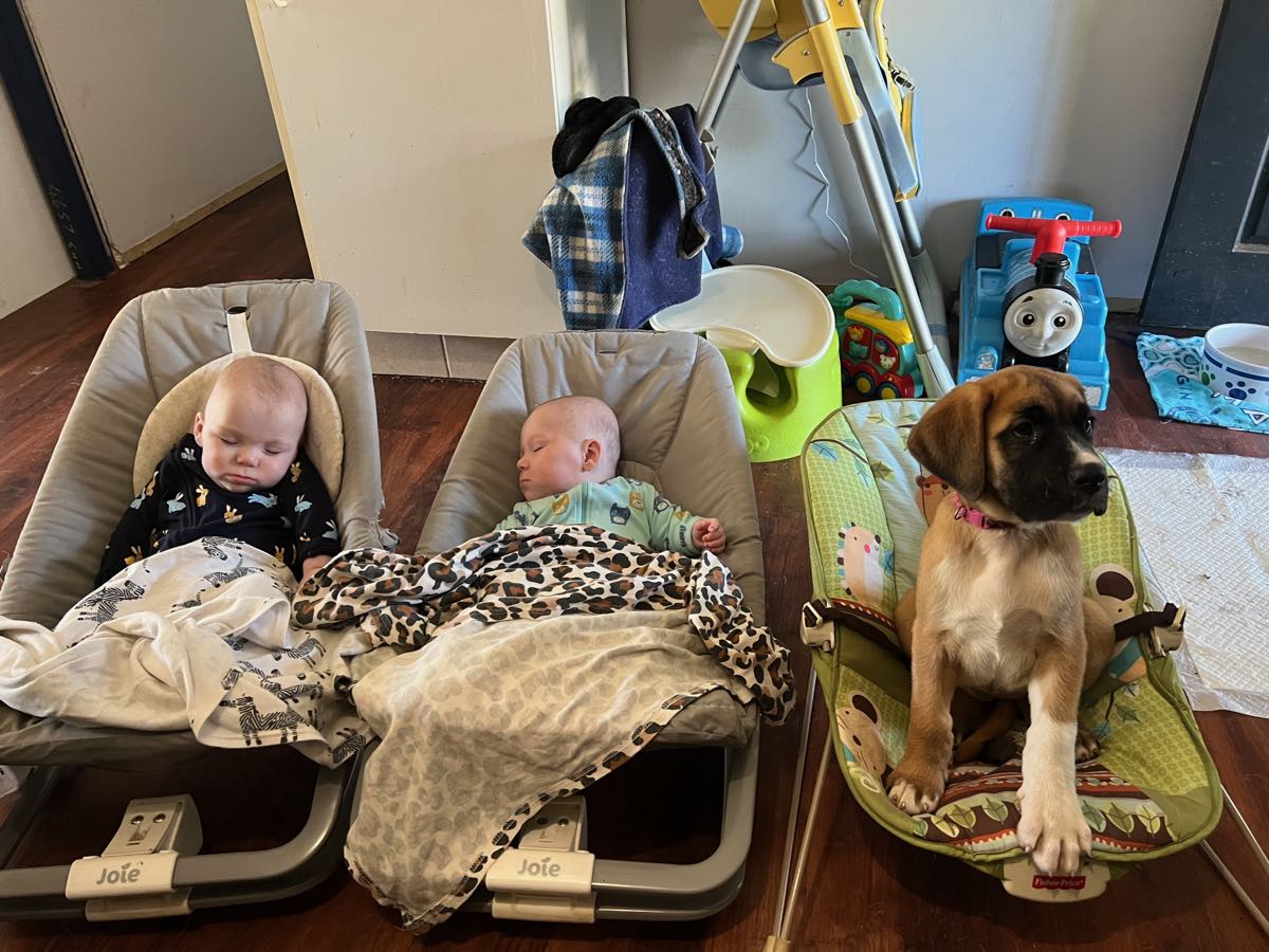 Rhys's twin boys Axel and Archer